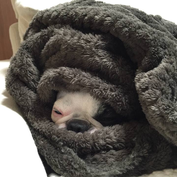 407407d9 12d1 4ce2 96e3 af7e0ccb2669