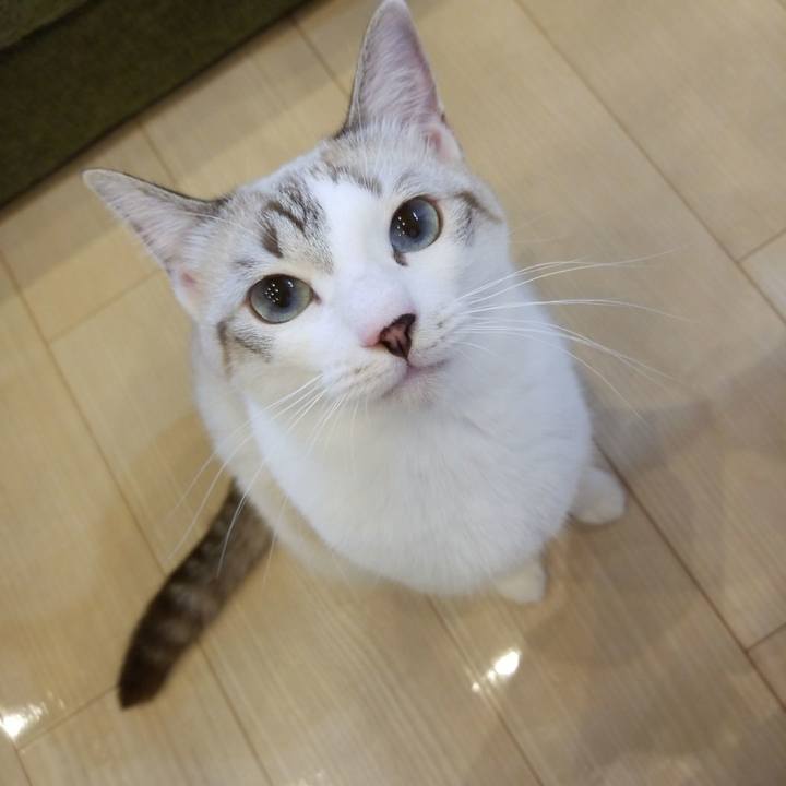 40741bdb 8eda 43e9 afd7 7fab3a790c01