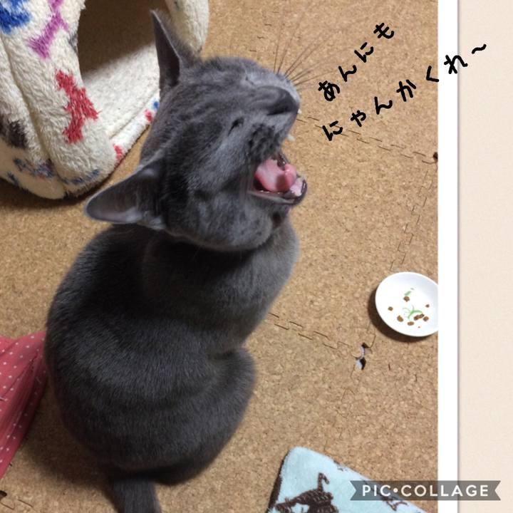 4074c21f ac1c 43d3 b444 ae9b6ff857b9