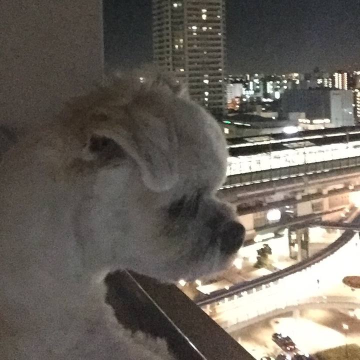 407566ad 71c2 4a0f 8504 a7c714f9a8d5