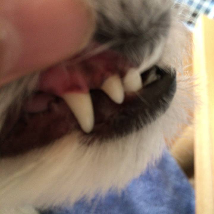 407582fb 0520 4c30 91cb 9817c0cf6457