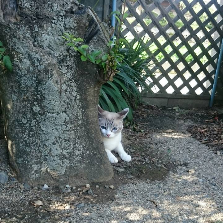 4075959a 21e9 4ed9 85d2 b2943a6db696