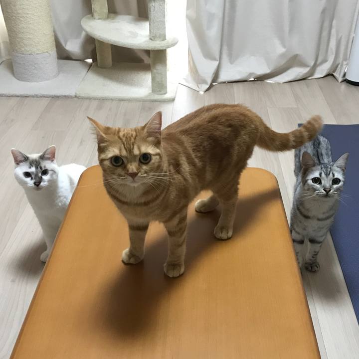 4075faa4 262a 46e8 9cd8 5572875f78a5