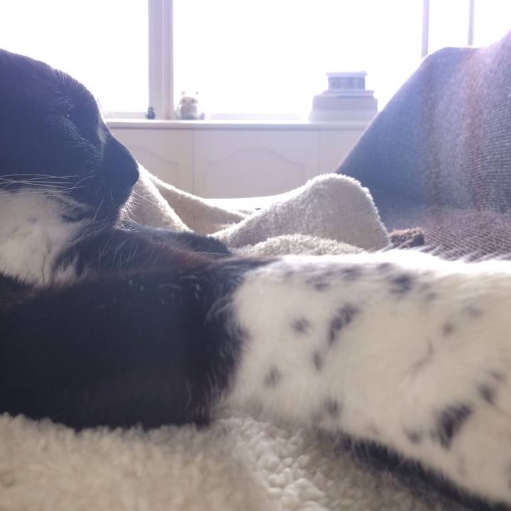 40761c55 499a 418b b5f5 4608623254d3