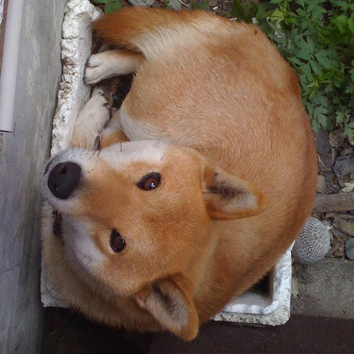 40763677 4032 4094 8aaa 0c77f896afc9