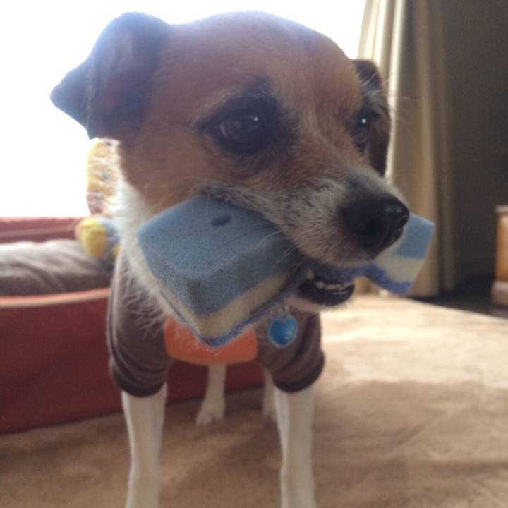 40776eee a833 43ef 9d94 fb349841e83a