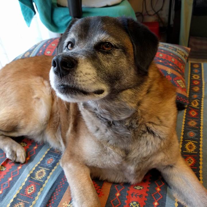 4077a833 4f25 434a ad6b e72214eb7618