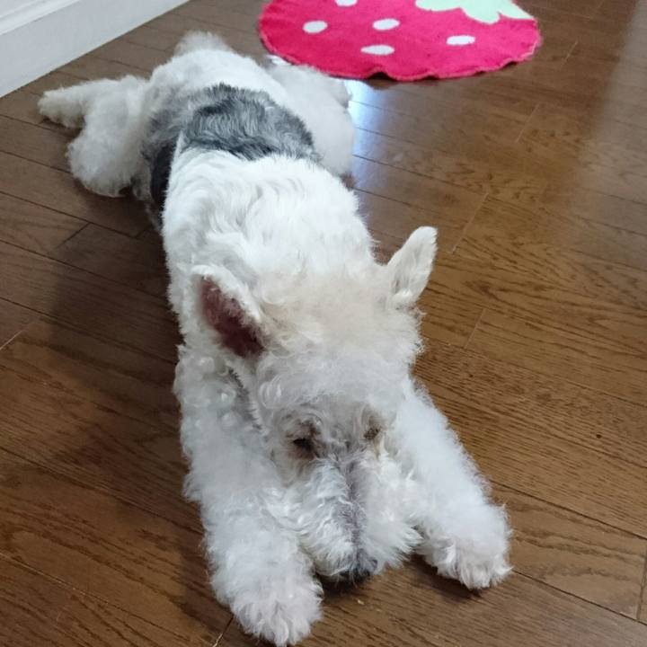 4077da21 d0a5 4627 aaa7 c2f45dd499b2