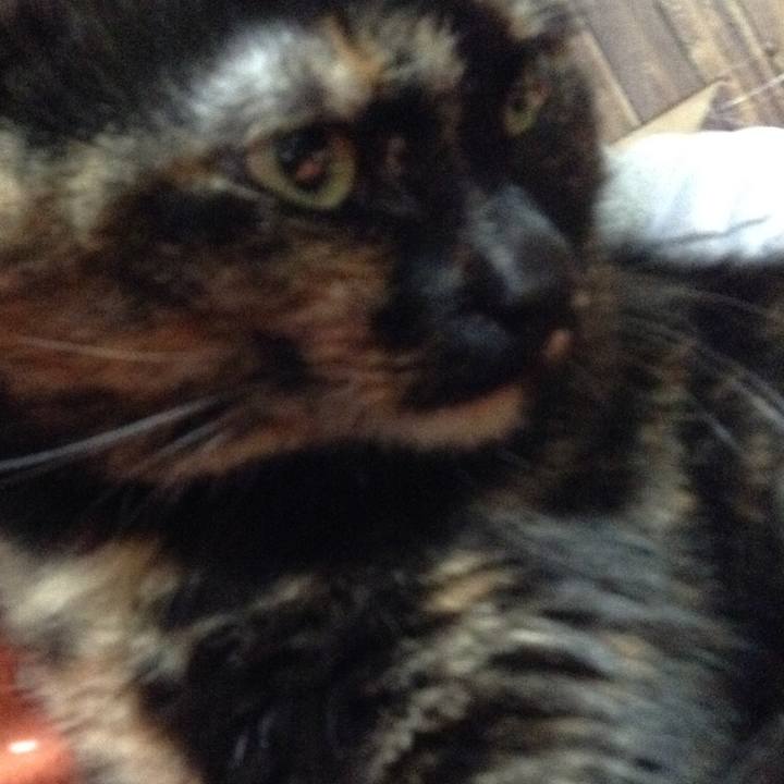 40782de5 f0fc 4146 8852 91e1100568f5