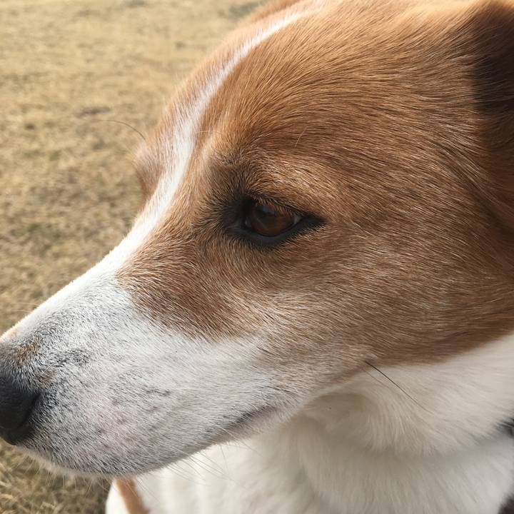 40785899 f3c9 415a 93cc 8f4ac73e3edf