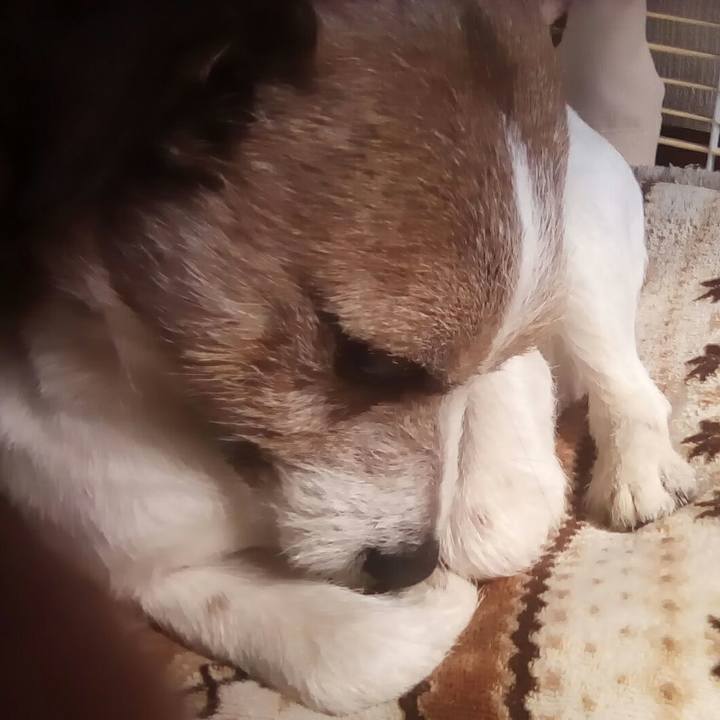 407865b6 4755 467c 8933 0657eaa1cb05