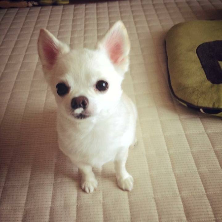 40790701 3246 4968 a25d c7505cf4b9e1