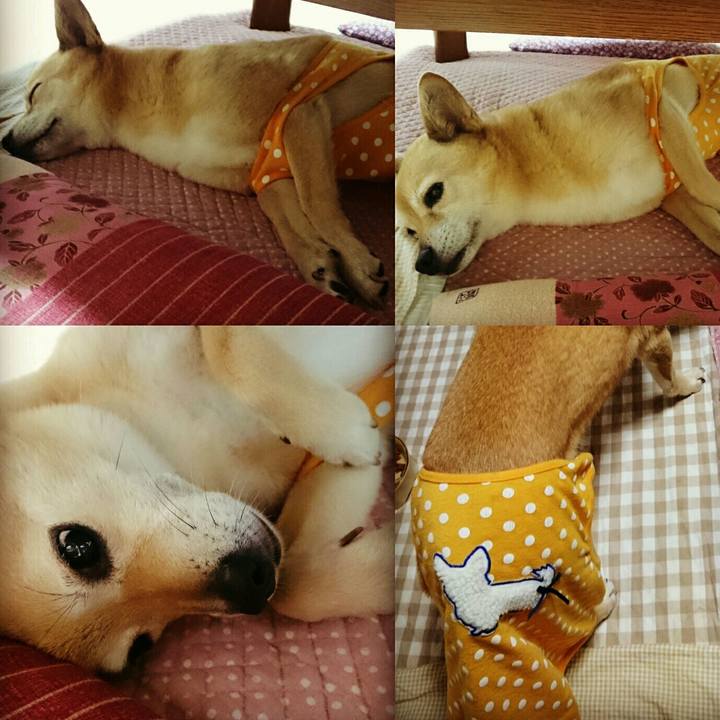 407942c4 8ab3 4f64 a33f 33be2f9920cd