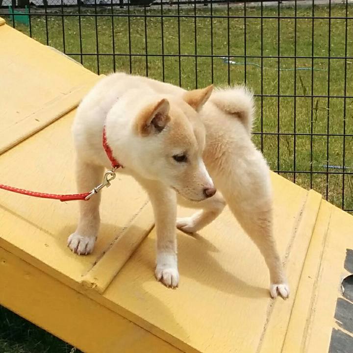 40794ef7 74fe 4f36 ac63 08452826ff3b