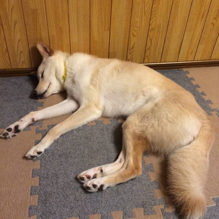 40797419 f0c2 43ee a039 7fbad9065579