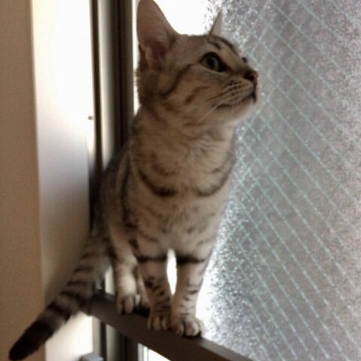 40797b4e 7f7b 44d7 9a61 c3c9a1b6f51d