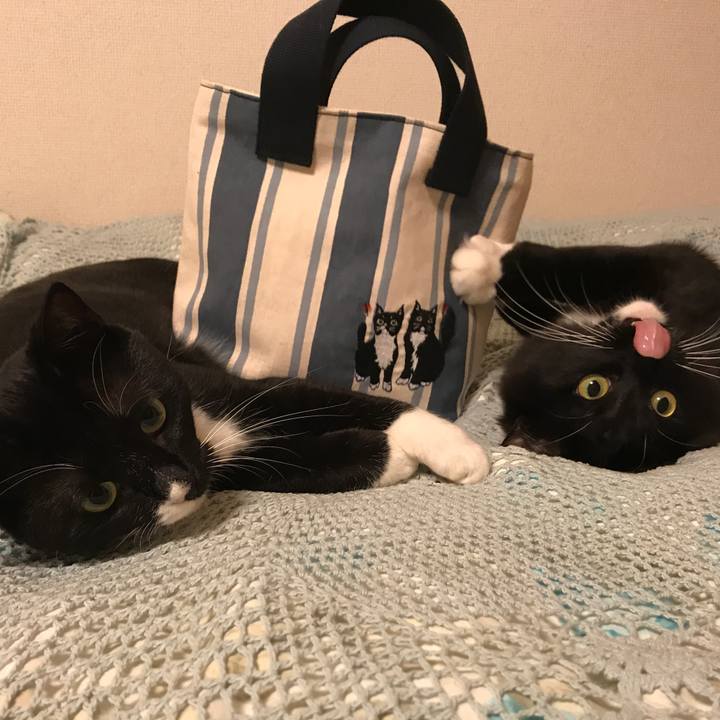 4079d34b ec30 4c80 ac1e 9c11fcbbf259