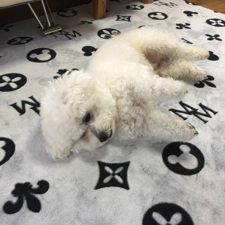 407a4465 db26 4e74 a51e f22a82483e29