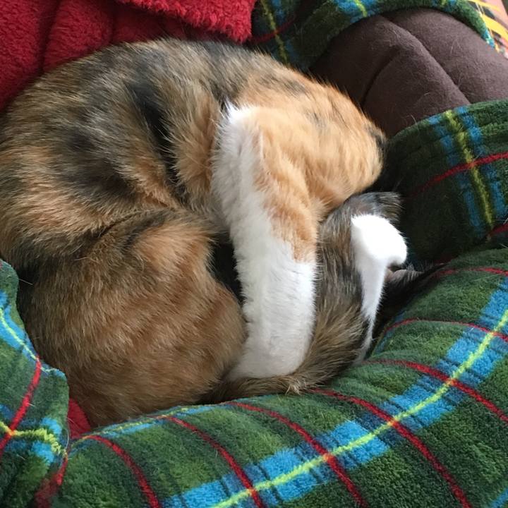 407a5639 95e0 433a be06 7fd572096c36