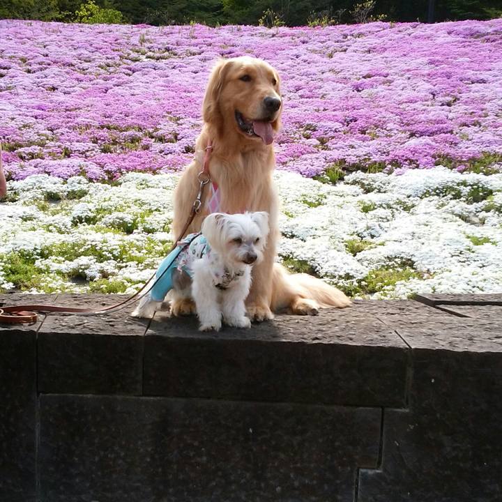 407b91b0 e7dc 45ab 8f29 25884f51114b