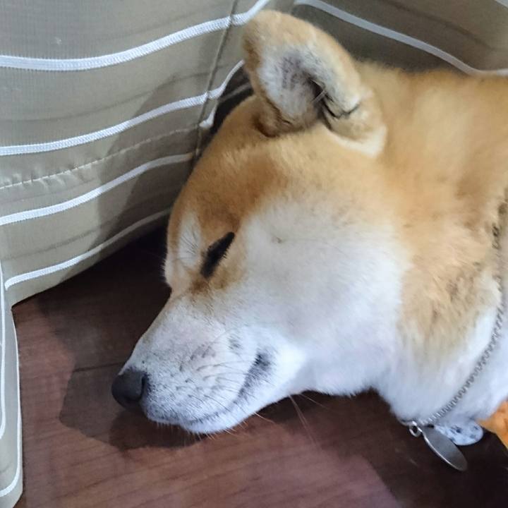 407c1d50 77f3 4504 b0e9 96da2a23096c