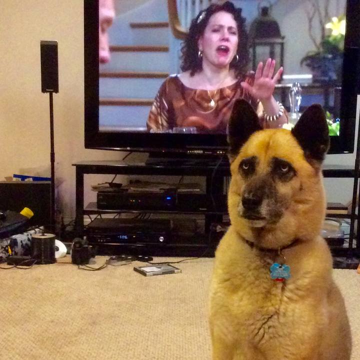 407c4794 d099 4ef3 8b15 ee07985f3347