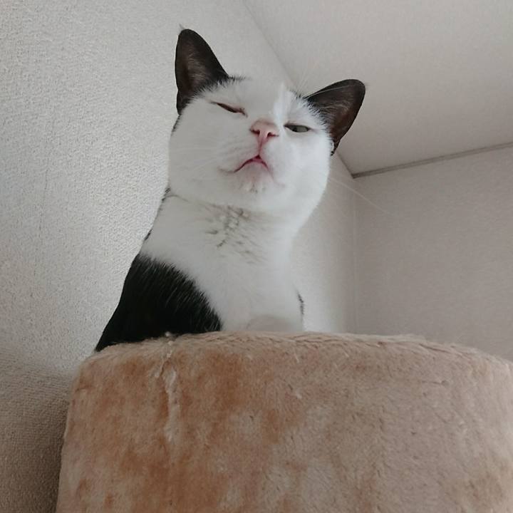 407ca348 681a 4fdd ba07 091c515ae650