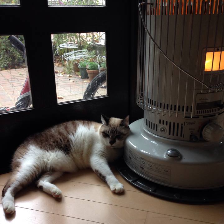 407d3ab0 1542 4a0a 89d0 dca527a07ada