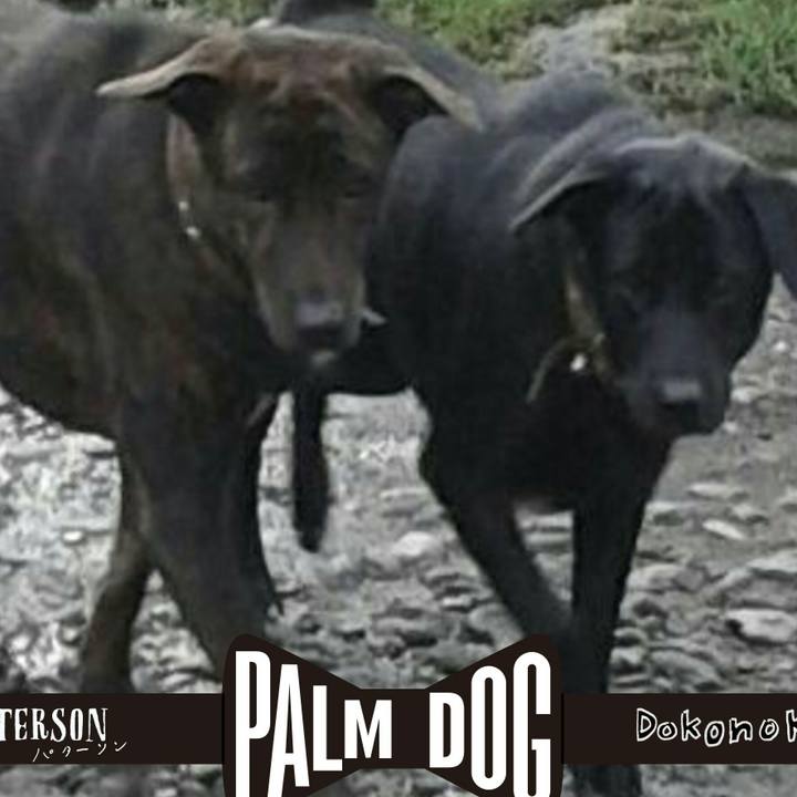 407d9aa3 a12b 4f3a a6bf f9609ec076b5