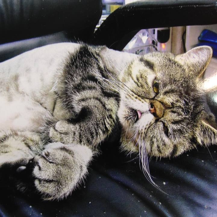 407dce16 b5e5 4bbe 8b4e 13c8c6d5baf7