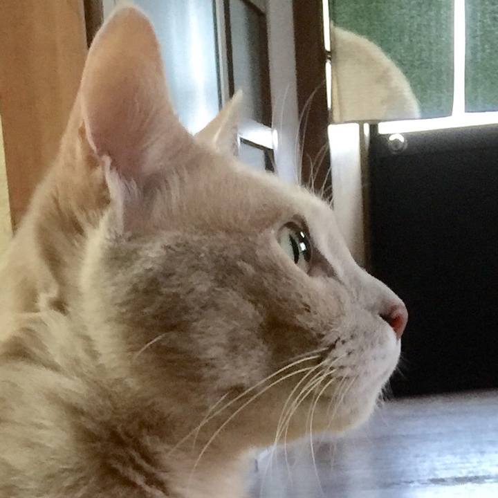 407e5375 dd3a 4fc0 ad9a 9975c9bb41d8