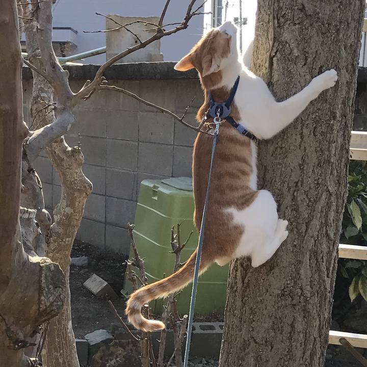 407eb0d0 d9ba 4e8e b8e2 e83bab3696a9