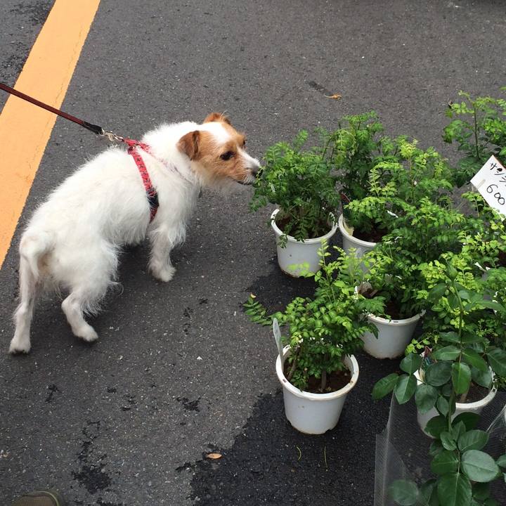 407ed15d 1af1 4da3 9185 1e2770b4ef94