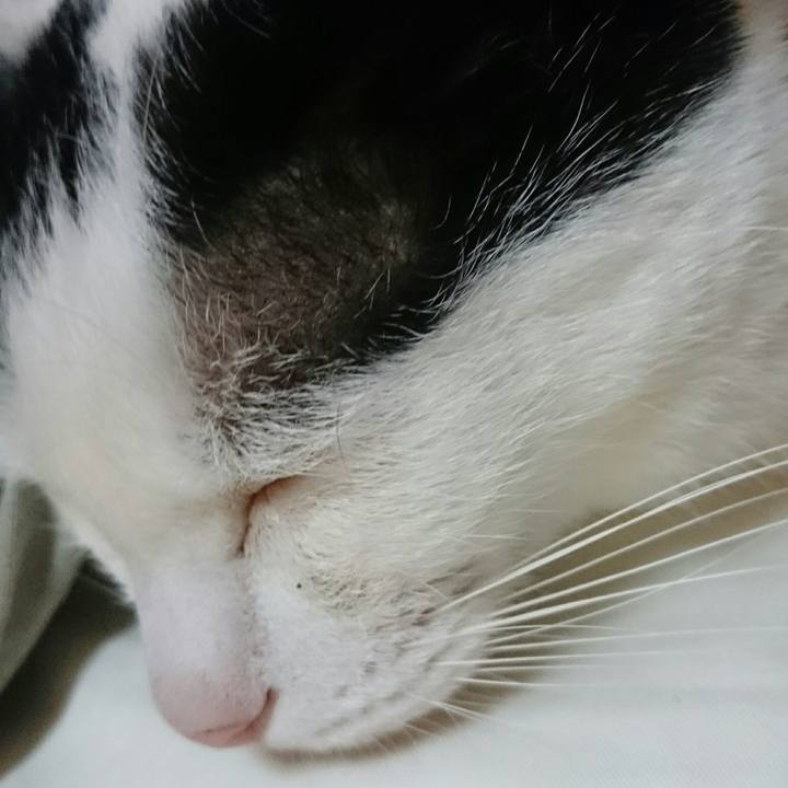 407eff3a f099 430e 85b5 4a7956aee5c2