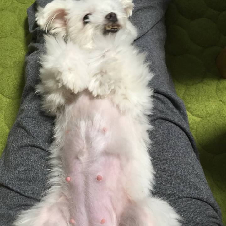 407f2198 6ee5 46bd 9788 71e3bca45e50