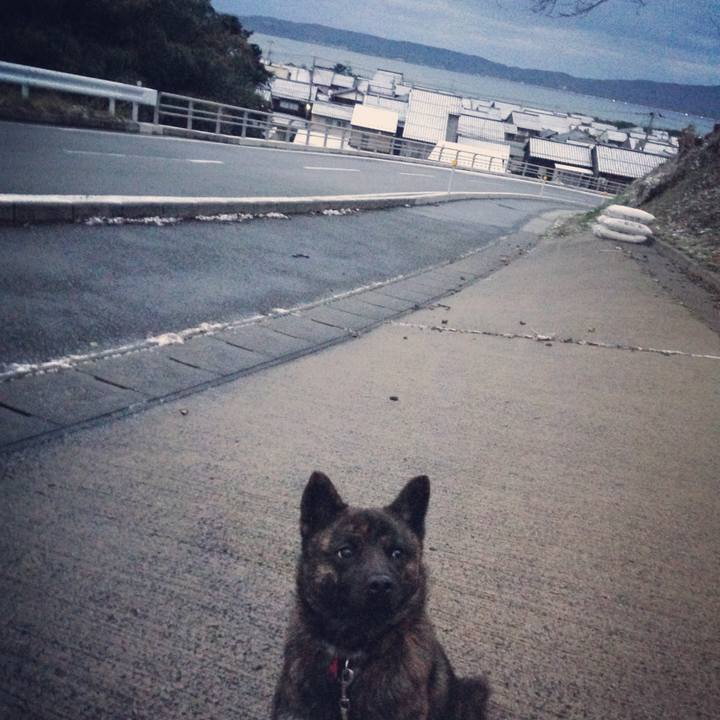 407f400f b277 45e2 a266 43e7063a3b16