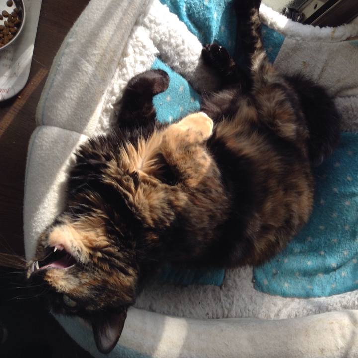 408001b7 c99e 4b33 85e8 408609b98069