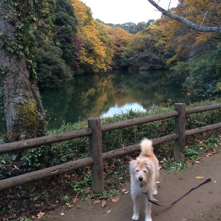 4080546b 4bb7 4ce6 8e2f b06ce1c5c954