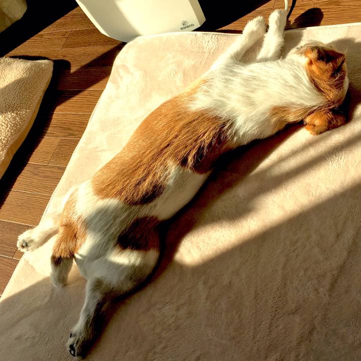 408089d0 5041 4313 a184 63f5d473e3ef