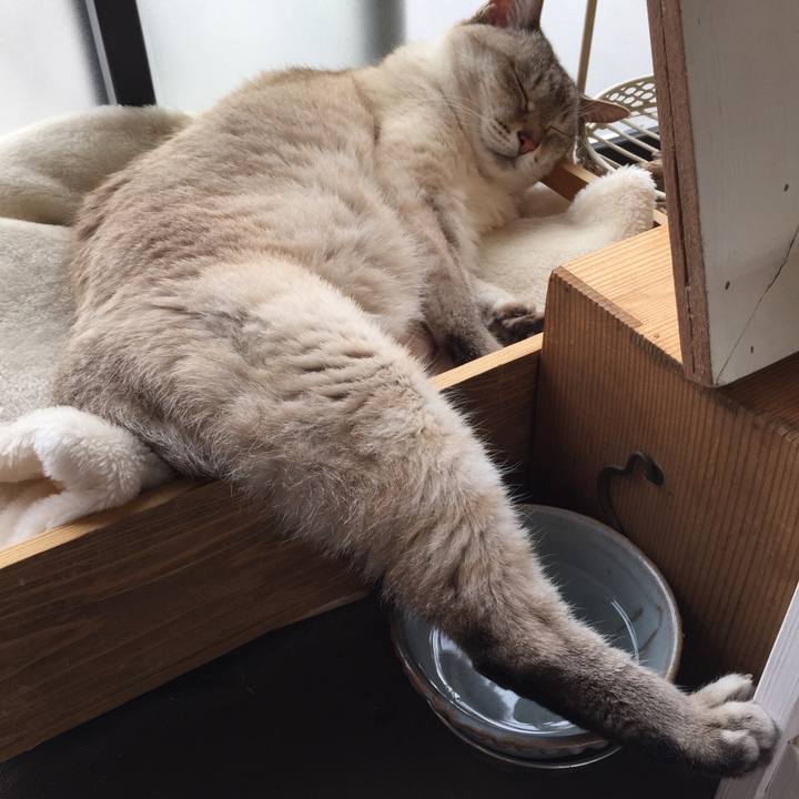 4080b600 6698 4330 8eb3 b88187cf4a8a