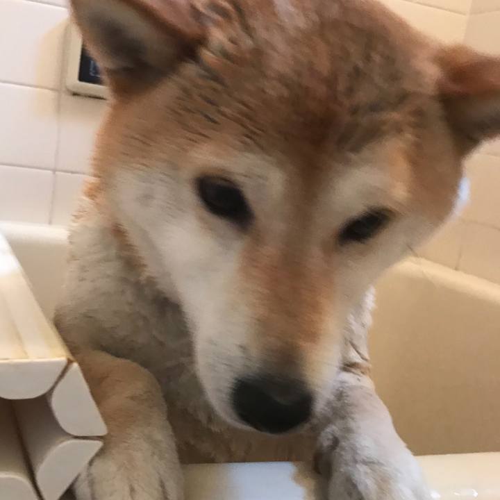 4080ca2c 8a56 4fdd b263 73d3ef9a700a