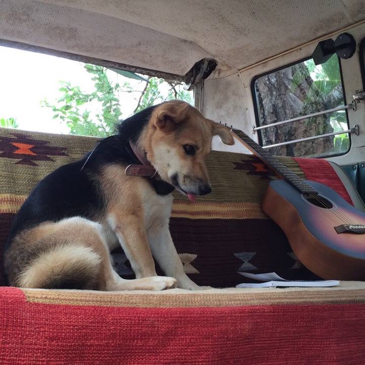 408127dd 5fcb 4273 a26e 2db48255aa67