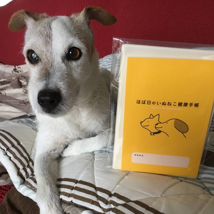 40828dcd 89ad 41d5 abda a852b070a3c6