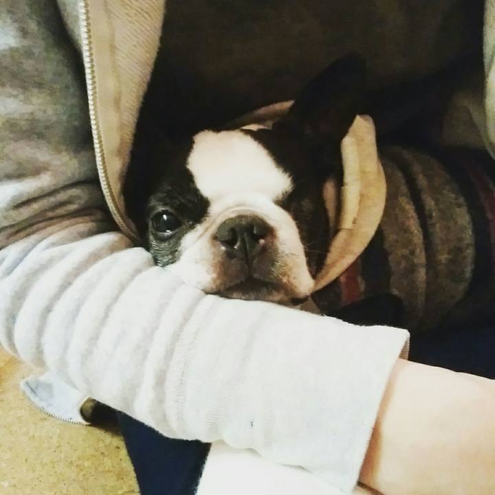 4083c65f e2a3 488a 8f3c 43354b29fe18