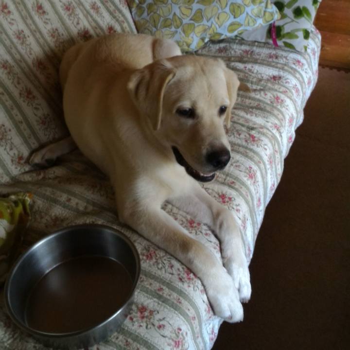 4084052e ac8f 4790 aa25 3b3d8f3f4262