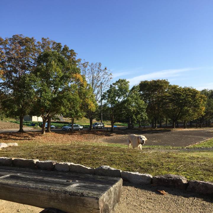 40848451 06ab 424f 9da7 0ed5bf2e58e9