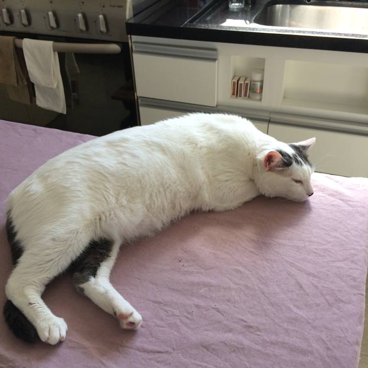 40854ea9 ca36 4e1d b0aa 55bec876a912