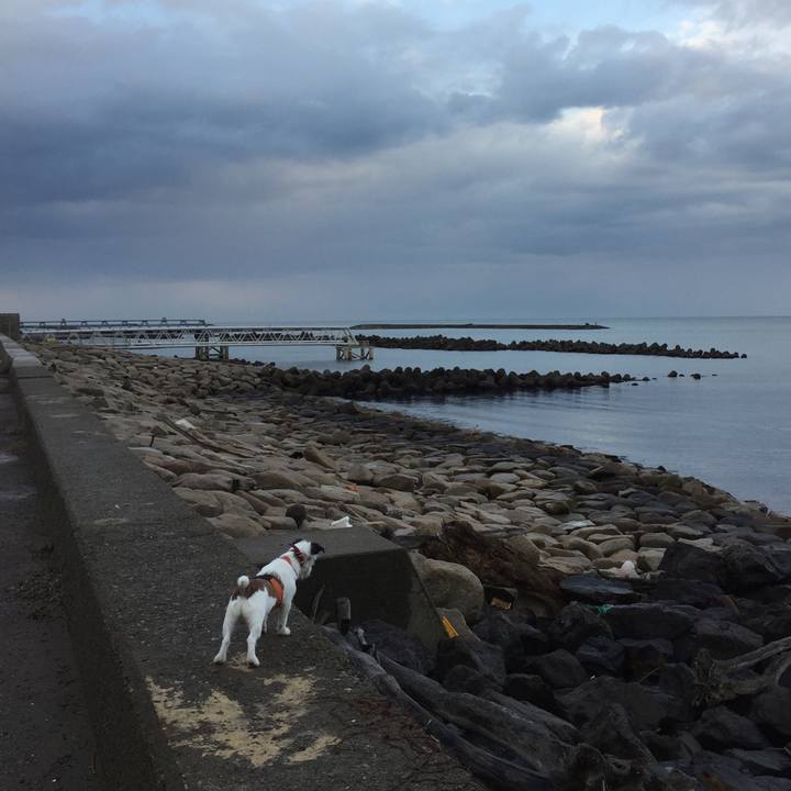 408596fb 49f9 4ce2 a2e5 4c011f8125da