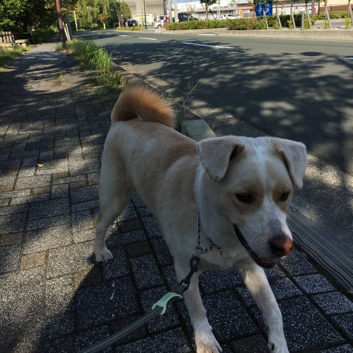 40867646 d27b 4091 8977 e6d8312c6058