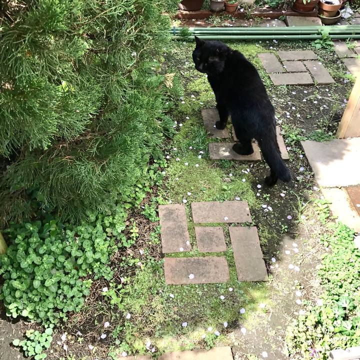 4086a4f3 8156 44cf 96f3 80a4fce5dd2c